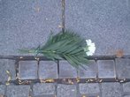 Stolpersteine zum Gedenken in Jena
